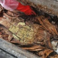 Археологи обнаружили гробницу воителя аттилы Отступление перед Папой