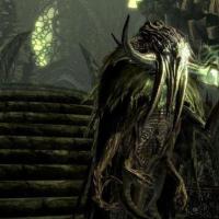 TES V: SKYRIM - DRAGONBORN: The passage of the main storyline in the apocryph does not arrive the dragon