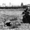 معركة سينو (7 صور) معركة سينو 1941