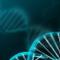 DNA hangi yapılardan oluşur?