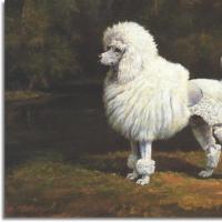 The image and characteristics of the grandfather of the main character of the story white poodle Kuprin essay