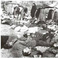 জুলাই 11, 1943. ভোলেন গণহত্যা। 